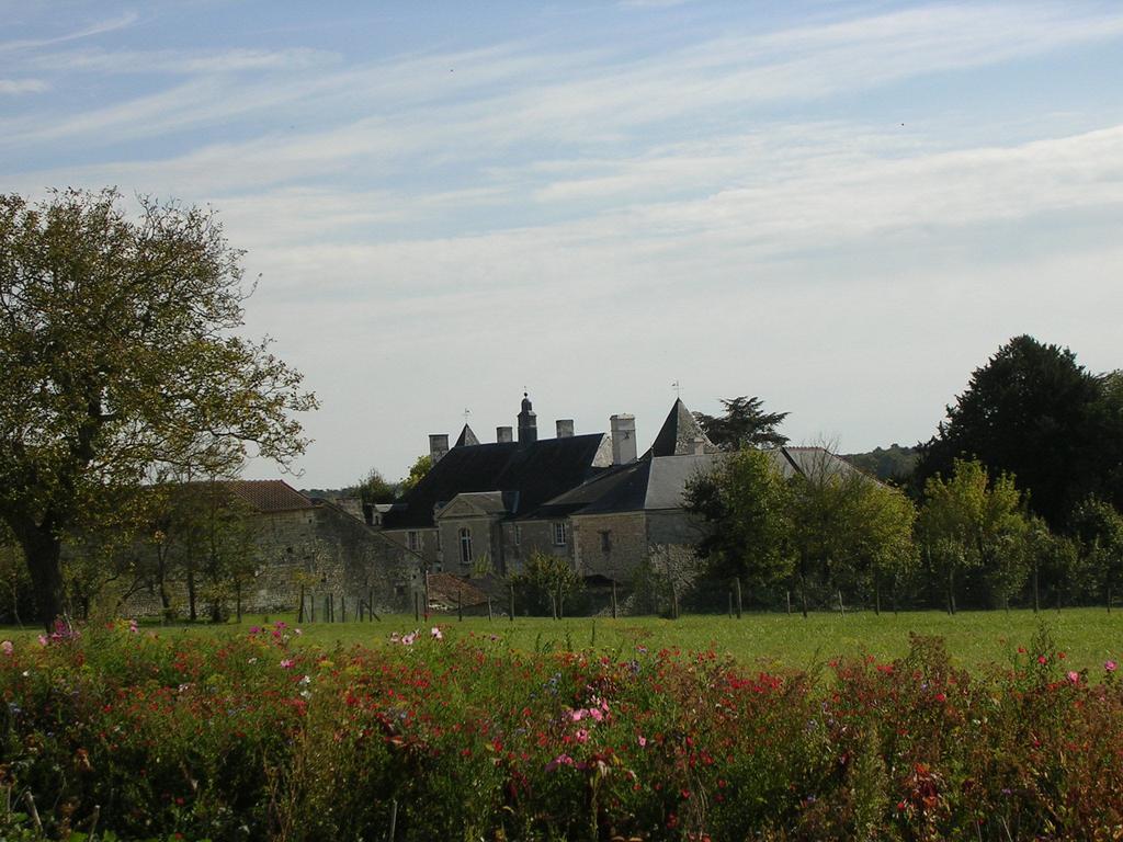 Chateau De La Noblaye Lemere Exterior photo